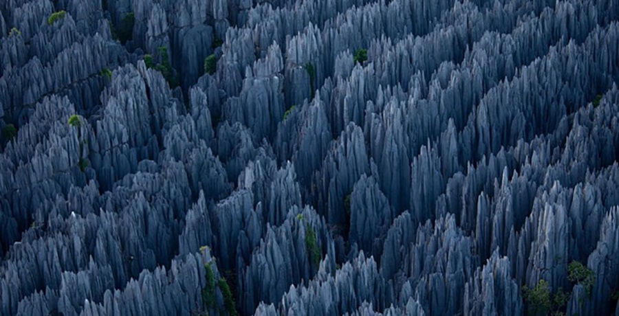 سفر به ماداگاسکار و دیدار از جنگل های سنگی