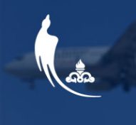 شرکت هواپیمایی نفت کارون
