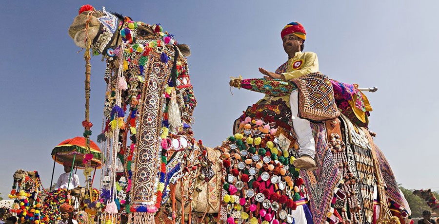 فستیوال شتر سواری یا پوشکار در هند