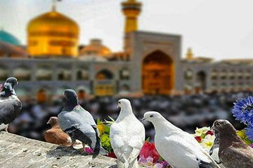 راهنمای سفر به مشهد، پایتخت فرهنگ اسلامی دنیا