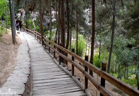 معرفی بهترین پارک های جنگلی تهران و آدرس دقیق آنها